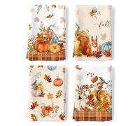 Arquiel Torchons De Cuisine Citrouille Écureuil, 100% Coton, Lot de 4 | Main Absorbante Torchon D'automne Feuille D'érable Vaisselle Saisonnier Cadeaux pour Crémaillère Et Décoratif 48 Cm X 70 Cm