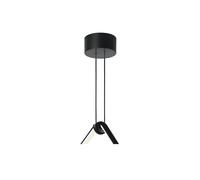 Flos Arrangement Rose coupelle de plafond Black. small
