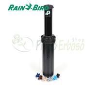 Arroseur escamotable Rain Bird 8005 avec une portée de 24,7 mètres