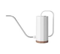Arroseur vert de jardin, pot de fleurs, arrosoir, bec long, bec courbé en acier inoxydable, arrosoir en métal de 10 litres (blanc, taille unique)