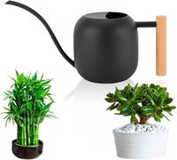 Arrosoir 1,2 l noir en acier inoxydable pour plantes d'intérieur