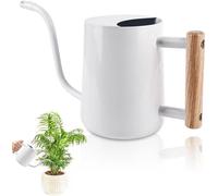 Arrosoir 1 litre en acier inoxydable, style vintage