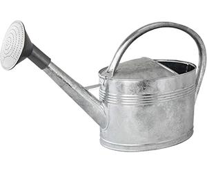 Arrosoir 10L + pomme d'arrosage, Acier