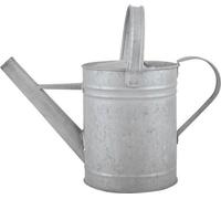 arrosoir 15 litres Gris Fallen Fruits OZ43 Vieux zinc