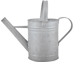 arrosoir 15 litres Gris Fallen Fruits OZ43 Vieux zinc