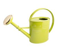 Arrosoir 4L - Acier galvanisé - Vert - Ovale - Anse ergonomique - Pomme métal démontable avec grille laiton - Robuste, léger et résistant à la corrosion - Arrosage jardin & plantes - 020342