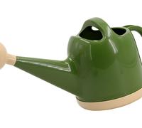 Arrosoir 4L en plastique avec tête d'arrosage Pot d'eau pour plantes d'intérieur et d'extérieur Fleur OD Vert