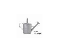Esschert Design – Arrosoir Fallen Fruits Vieux Zinc 6,5 L