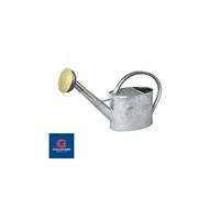 Arrosoir 6L - Acier galvanisé à Chaud - avec Pomme métal Grille Laiton - Robuste et léger - Grande Anse Ergonomique - Idéal Jardin, Potager, Fleurs et Balcon - 020142