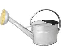 Arrosoir 6L Acier Galvanisé - Pomme Métal Grille Laiton, Arrosage Précis - Jardin, Potager, Grande Surface, Anse Ergonomique - 020540