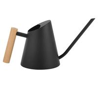 Arrosoir - 900 ml - Acier inoxydable - Bec extra long - Poignée ergonomique en bois - Noir - Pour plantes d'intérieur