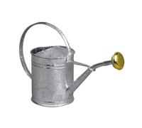 Arrosoir acier galvanisé 1l - 80300 - GUILLOUARD