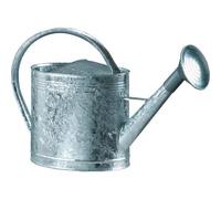 Arrosoir acier galvanisé avec pomme 13 litres