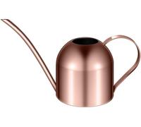 Arrosoir avec un long bec verseur, idéal pour les plantes d'intérieur et d'extérieur - 1000 ml