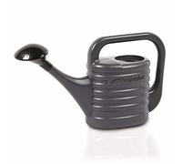 Prosperplast Arrosoir de jardin Zebra 2 L Anthracite