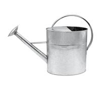 Arrosoir de Jardin Galvanisé 10 L - Intérieur et Extérieur - Métal Avec Tête de Douche Dévissable - Zinc Nostalgique Résistant Aux Intempéries