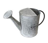Arrosoir décoratif vintage Garden 40 x 19 x 26 cm Zinc gris - Théière décorative Théière à fleurs