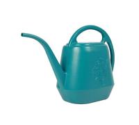 Arrosoir d'intérieur, capacité de 4 L, long bec, construction en plastique, vert, 40 x 25 x 20 cm, 270 g