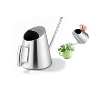 Arrosoir d'intérieur de 1.5L en Acier Inoxydable, Pot d’Arrosage Long Bec Mini Arrosoir de Jardin pour la Maison et Bureau Plantes