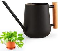 Arrosoir d'intérieur en acier inoxydable - 1 litre - petites plantes - bec long - arrosoir noir