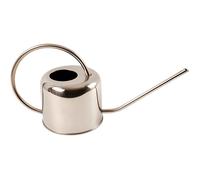 Esschert Design Arrosoir d'intérieur en inox 1 litre