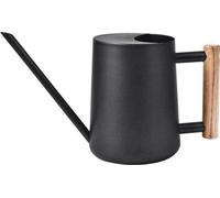Arrosoir en acier inoxydable avec manche en bois et bec long