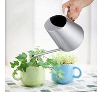 Arrosoir en acier inoxydable de 1 500 ml pour plantes