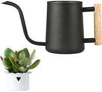 Arrosoir en acier inoxydable d'un litre, idéal pour les plantes d'intérieur et les plantes grasses