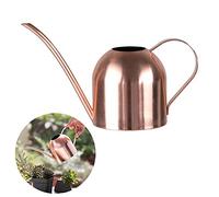 Arrosoir en acier inoxydable - Petit arrosoir à long goulot pour la maison, l'intérieur et l'extérieur, le jardin, les plantes succulentes - 500 ml (or rose)