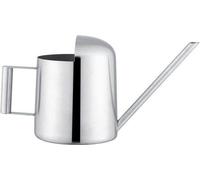 Arrosoir en acier inoxydable pour bonsaïs avec long bec 300 ml pour les plantes de jardin à l'intérieur et à l'extérieur