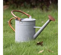Arrosoir galvanisé - Pot d'arrosage avec poignée - Pour arroser les plantes - Acier résistant à la rouille - 3,8 litres - Zinc