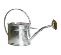Arrosoir - GUILLOUARD - ovale galvanisé - 1.75 L - avec pomme