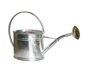Arrosoir - GUILLOUARD - ovale galvanisé - 1.75 L - avec pomme