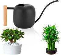 Arrosoir Ibenzoa® de 1,2 L – en acier inoxydable, bec verseur long, noir avec manche en bois, 30 x 15 cm – Pour un arrosage précis des plantes d'intérieur et des bonsaïs