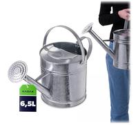Arrosoir KADAX en acier galvanisé de 6,5 L, arrosoir en métal avec pomme d'arrosage amovible, arrosoir en zinc pour le jardin et le balcon, grand arrosoir pour fleurs (argent)