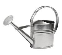 Arrosoir - Métal Galvanisé - 10L - Argent - Pomme de Douche Amovible
