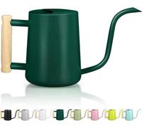 Arrosoir moderne en acier inoxydable de 1 litre, vert