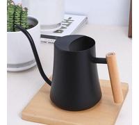 arrosoir noir 1000 ml pour petites plantes d'intérieur - acier inoxydable avec long bec verseur