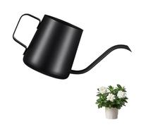 Arrosoir noir - Petit arrosoir pour plantes d'intérieur - 250 ml - Mini arrosoir en acier inoxydable - Bec long - Pour maison, bonsaï, extérieur, jardin