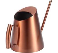 Arrosoir pour bonsaï en acier inoxydable avec bec verseur long, couleur rose moderne, taille moyenne