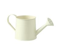 Arrosoir pour d'intérieur 1 litre en fer avec poignée esthétique | Arrosage moderne pour plantes d'intérieur pour serre, ferme, terrasse, cour, paysaï, fleurs, bonsaï