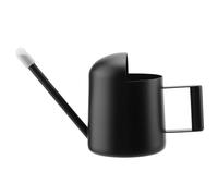 Arrosoir pour Plantes d'Intérieur 300 ML en Acier INOX - Mini Arrosoir | PUCSIQ, Métal Antirouille, Bec Long pour Jet Précis, Format Compact, Poignée Ergonomique, Cactus, Succulentes, Bonsaï, Balcon