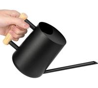 Arrosoir pour plantes d'intérieur en acier inoxydable 1 L, style vintage