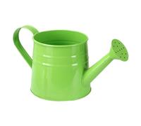 ＡＷＨＡＯ Arrosoir Rétro Outil de Jardin Portable en Métal Plantes D'intérieur Arroseur Arroseur pour Plantes D'intérieur de Jardin, Vert