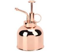 Arrosoir vaporisateur de plantes d'intérieur accessoires de plantes d'intérieur G