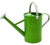 Arrosoir vintage vert olive 4,5 litres - Arrosoir décoratif de style anglais avec doubles poignées