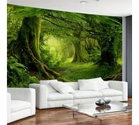 Arsey Tapisserie murale verte forêt brouillard à suspendre herbe paysage nature extra large Tapisseries Boho Decor chambre à coucher 300 x 180 cm
