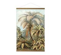 Art for the Home Kakemono affiche Jungle filicinae 100 x 70cm Multicolore | Décoration Murale, Décoration Chambre Salon