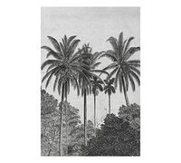 Art for the Home Papier peint panoramique Palmiers Noir et Blanc Revêtement Mural Intissé Facile à poser 280 x 200cm Gris, Noir