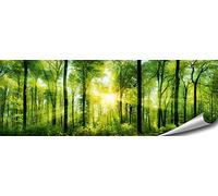 ARTBAY Poster de forêt XXL - Impression d'art panoramique - 118,8 x 42 cm - Inondé de soleil - Forêt locale - Poster mural - Poster photo - Décoration murale - Poster nature - Qualité supérieure